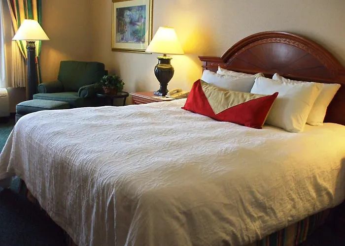 Hilton Garden Airport 3*