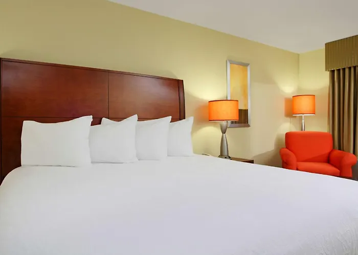 Hotel Hilton Garden Airport 3*