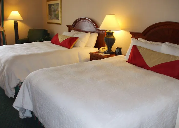 Hilton Garden Airport 3* Columbus