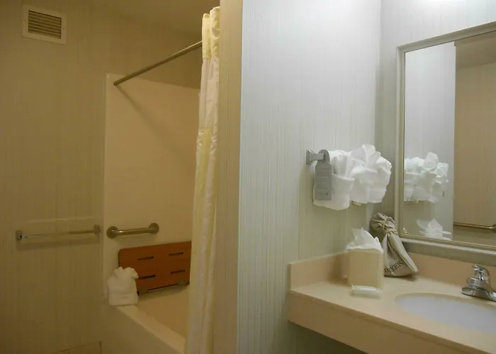 Hilton Garden Airport 3*